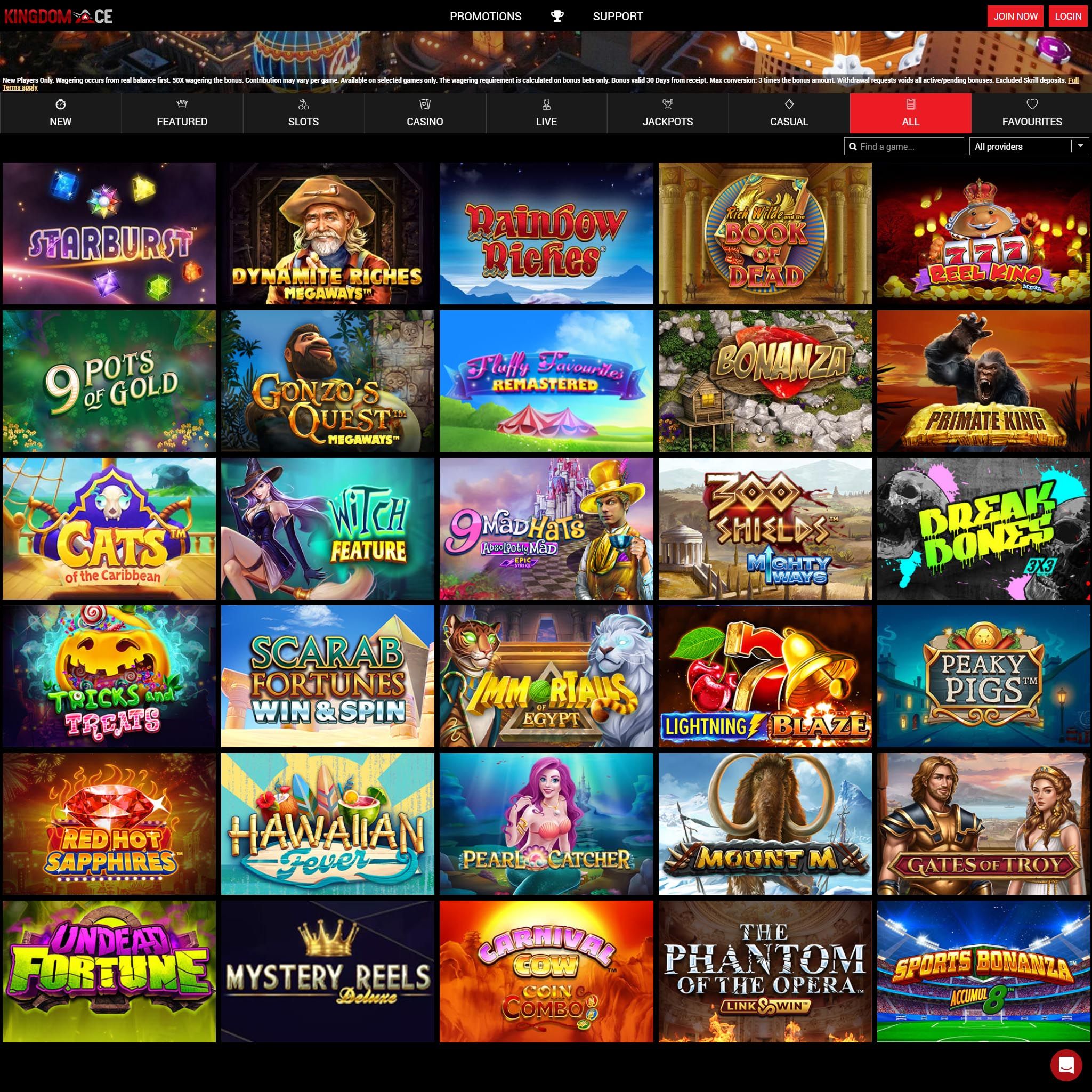 KingdomAce Casino review by Mr. Gamble