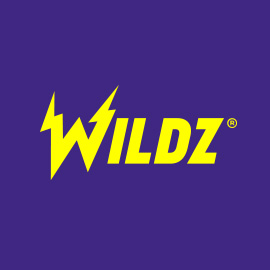 Wildz - logo