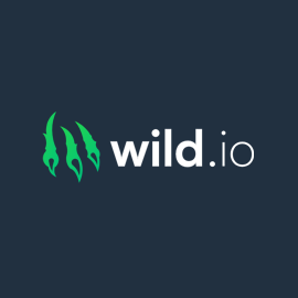 Wild.io Casino - logo