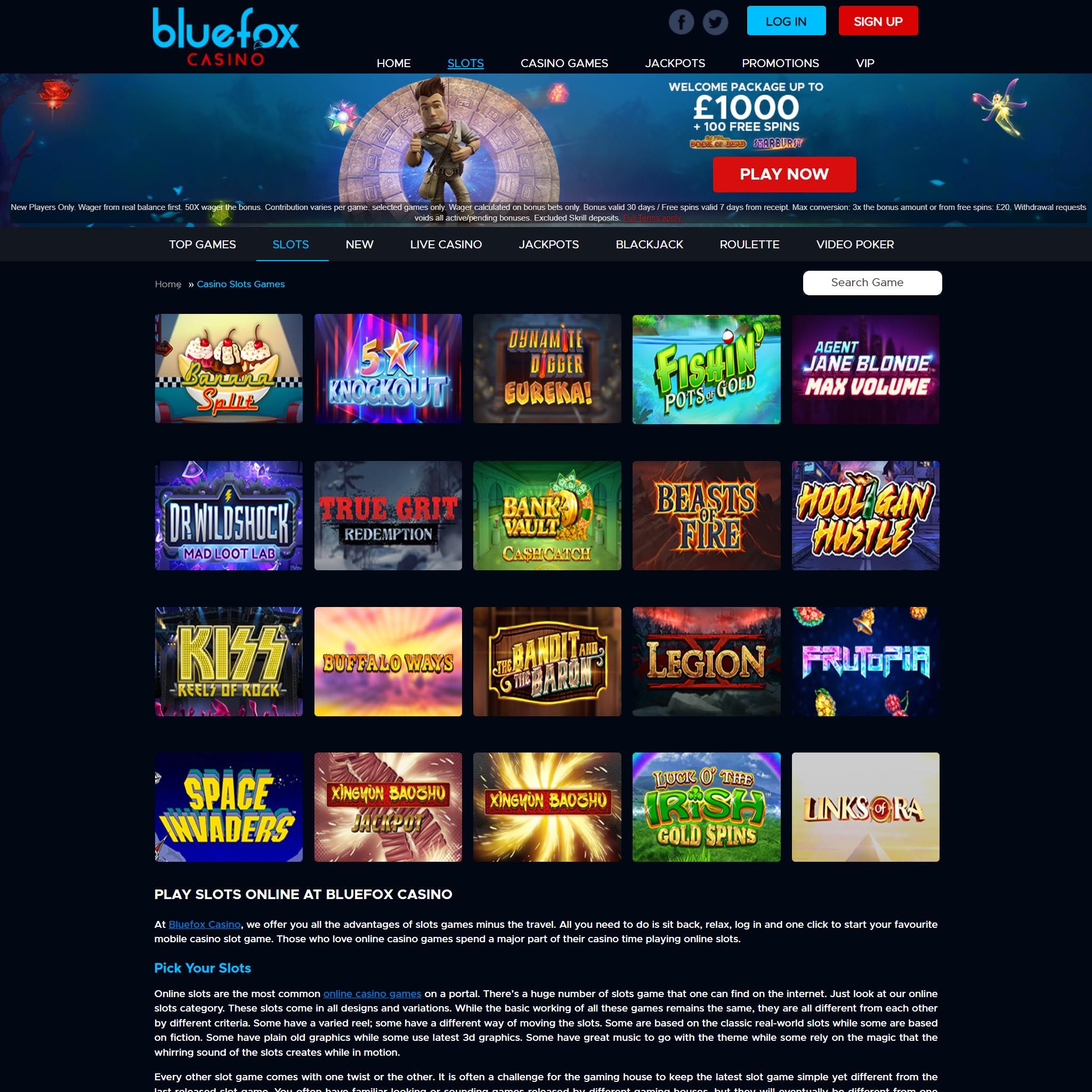 BlueFox Casino full games catalogue