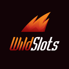 WildSlots - logo