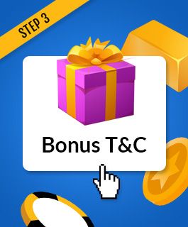 Read the 80 free spins bonus T&Cs